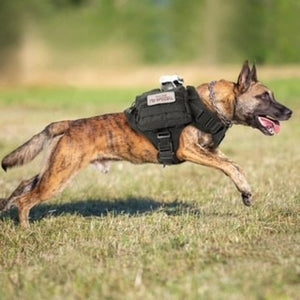 Professional Working Dog Tactical K9 Vest
